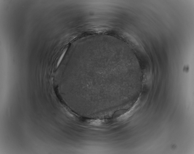 X0000098150182200805011416