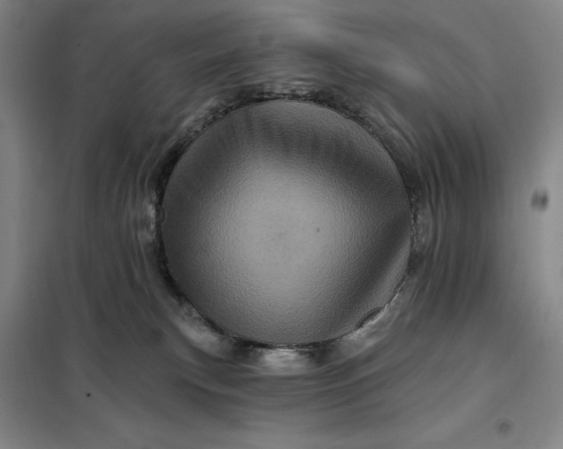 X0000098150183200805011416