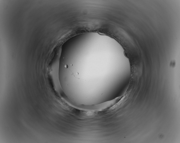 X0000098150184200805011416