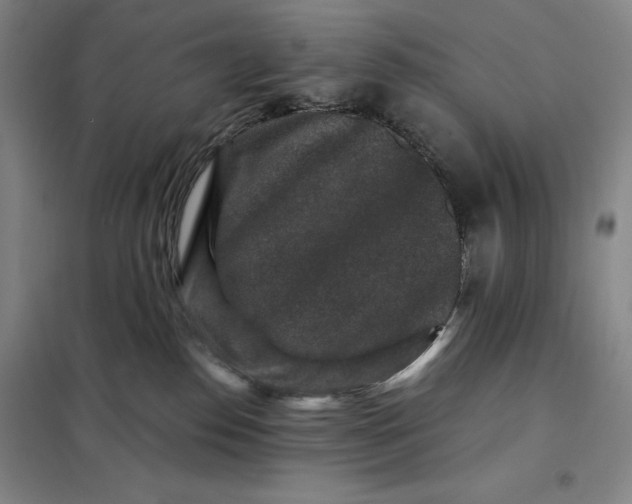 X0000098150186200805011416