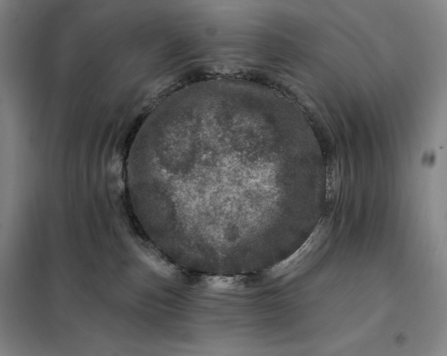 X0000098150187200805011416