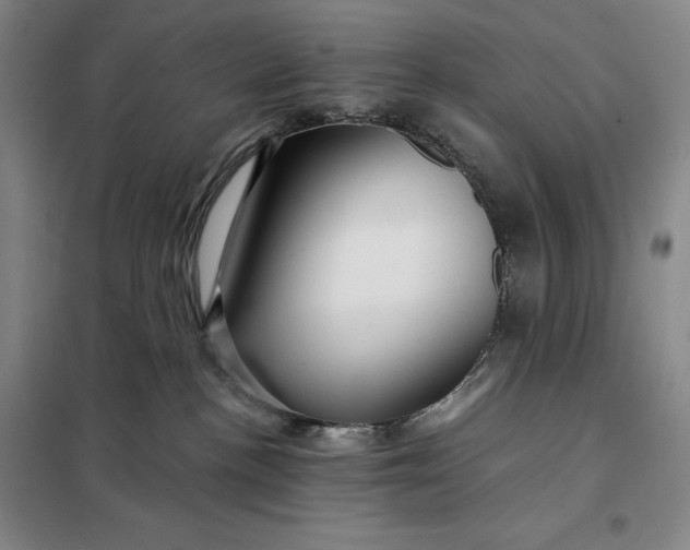 X0000098150188200805011416