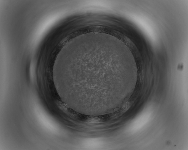 X0000098150189200805011416