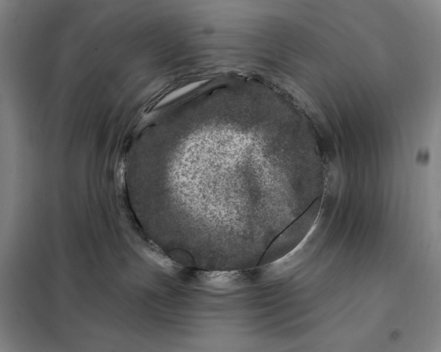 X0000098150191200805011416