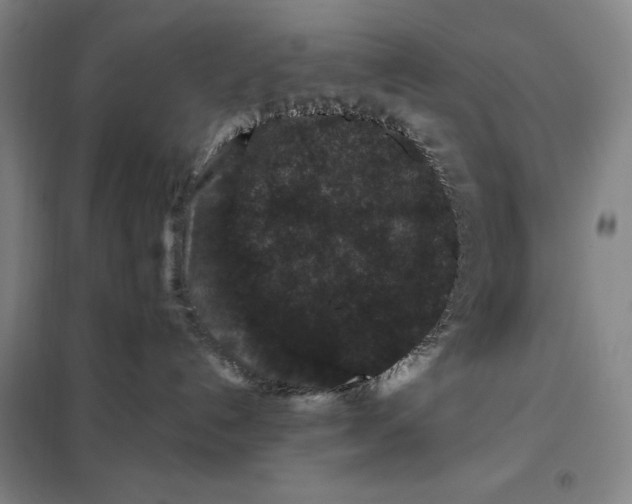 X0000098150192200805011416