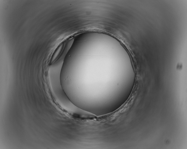 X0000098150193200805011415