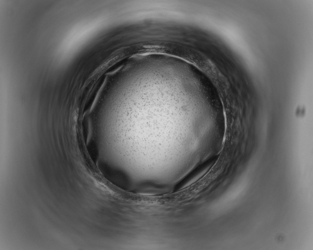 X0000098150194200805011415