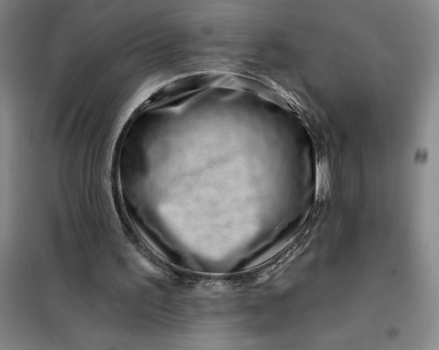X0000098150195200805011415