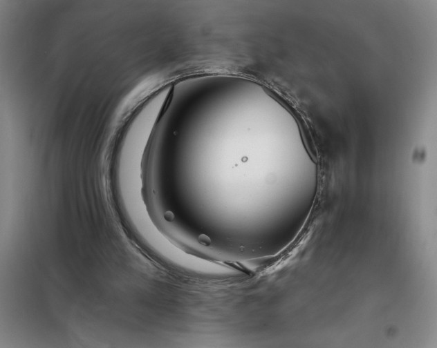 X0000098150197200805011415