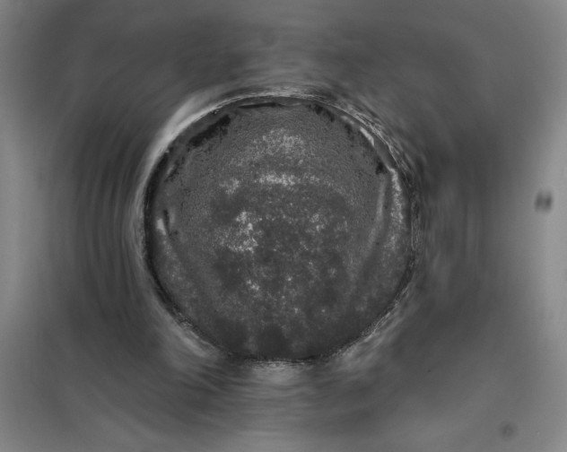 X0000098150198200805011415