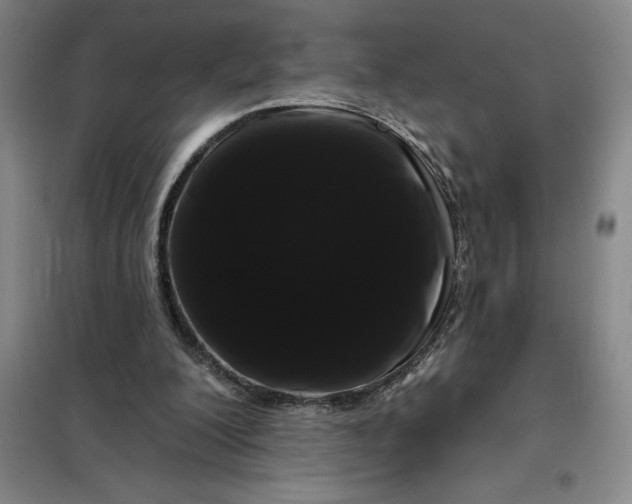 X0000098150200200805011415