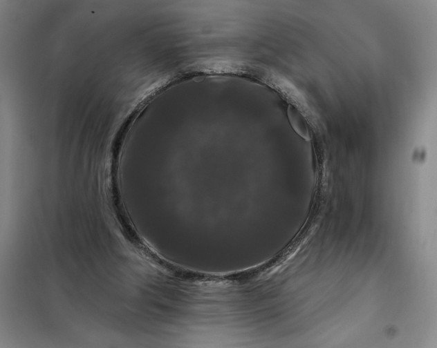 X0000098150202200805011415