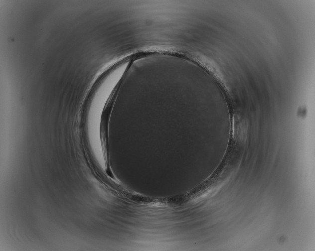 X0000098150204200805011415