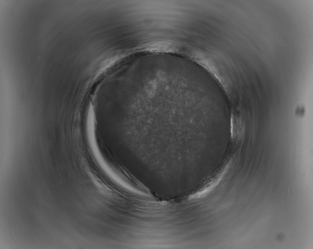 X0000098150205200805011415