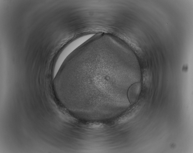 X0000098150206200805011415