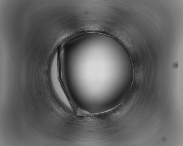 X0000098150207200805011415