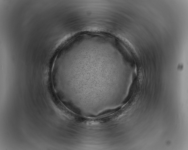 X0000098150208200805011415