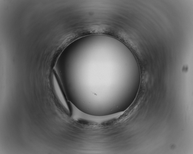 X0000098150209200805011415