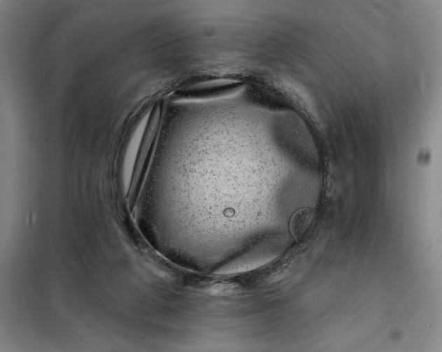 X0000098150210200805011415