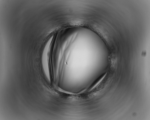 X0000098150211200805011415