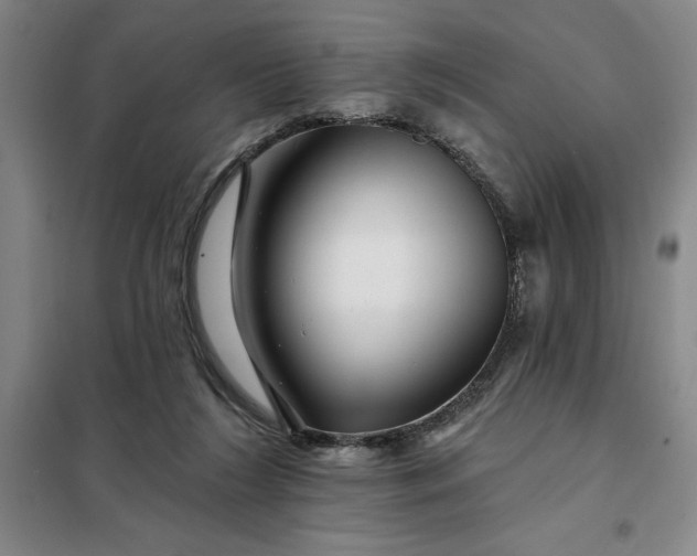 X0000098150212200805011415