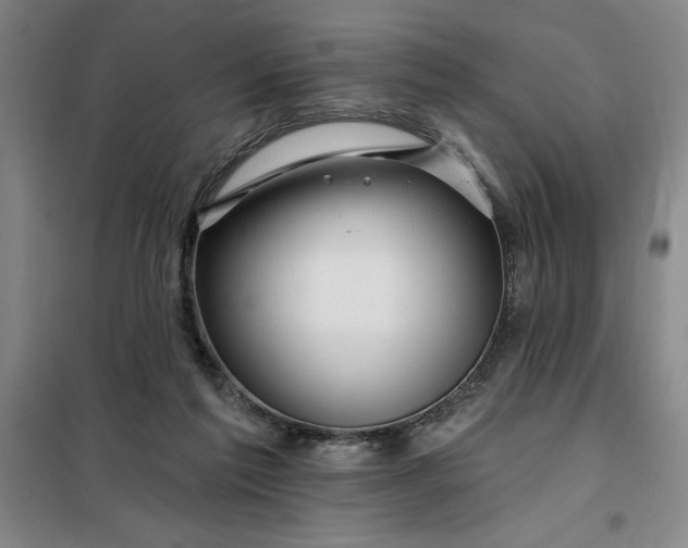 X0000098150213200805011415