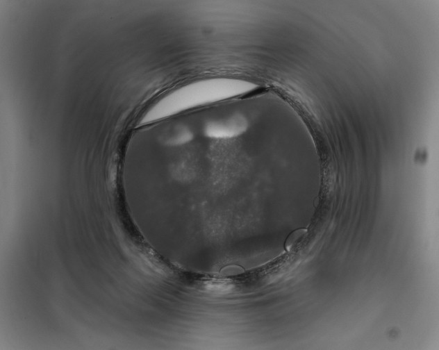 X0000098150214200805011415