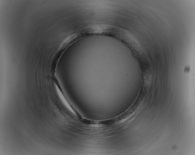 X0000098150216200805011415