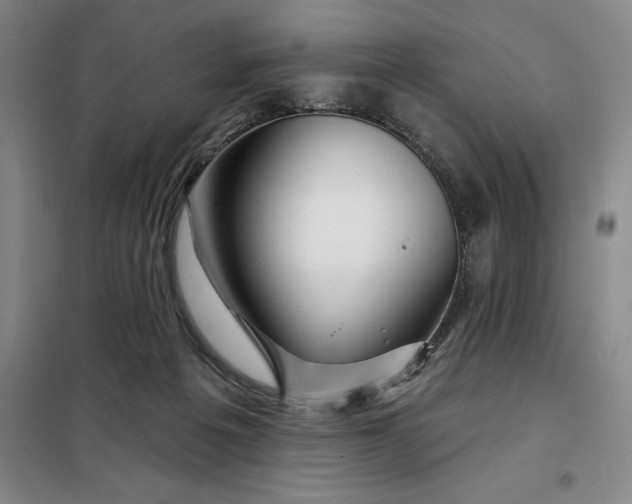 X0000098150217200805011415