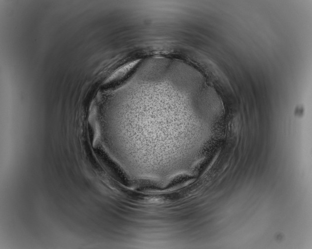 X0000098150218200805011415