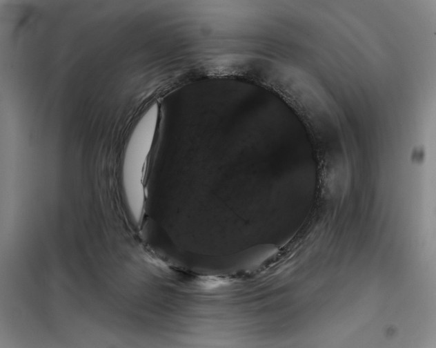 X0000098150219200805011415