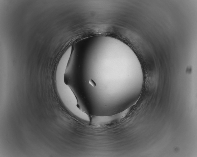 X0000098150221200805011415