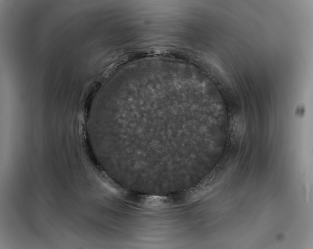 X0000098150222200805011415