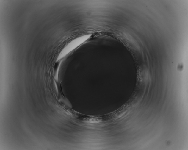 X0000098150223200805011415