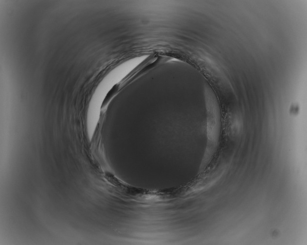 X0000098150224200805011415