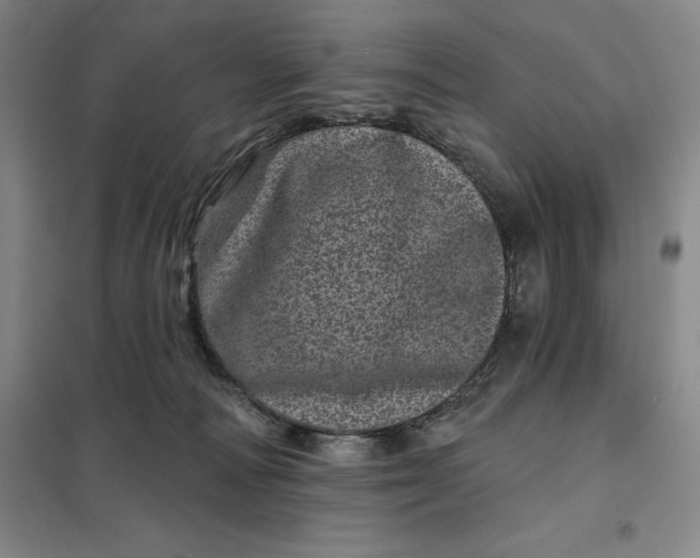X0000098150226200805011415