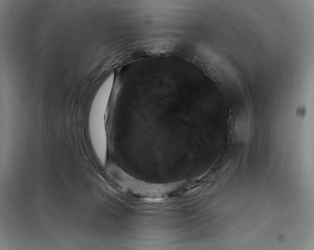 X0000098150227200805011415
