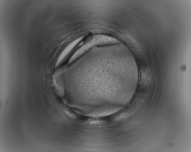 X0000098150228200805011415