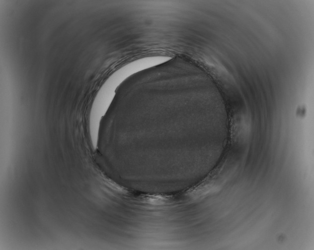 X0000098150229200805011415