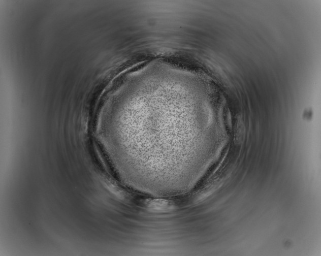 X0000098150230200805011415