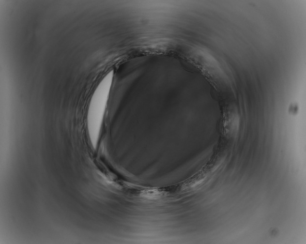 X0000098150231200805011415