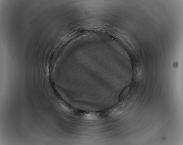 X0000098150232200805011415