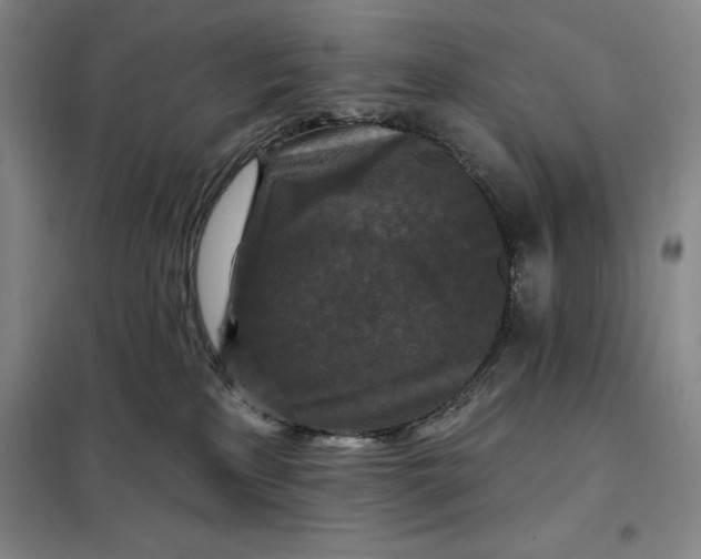 X0000098150233200805011415