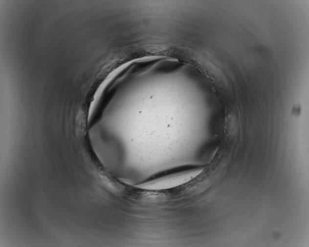 X0000098150234200805011415