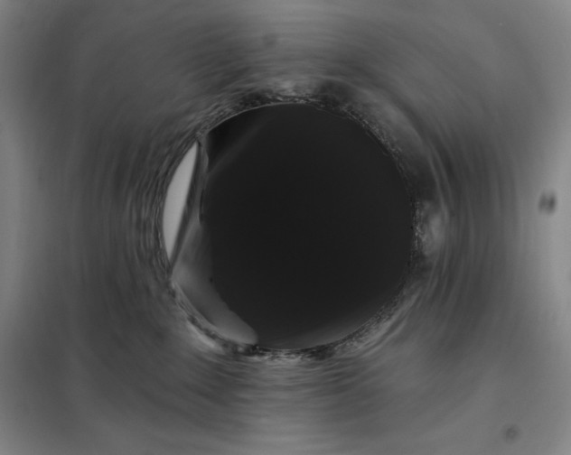 X0000098150235200805011415