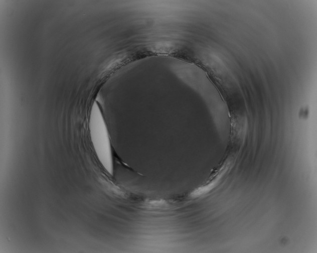 X0000098150237200805011415