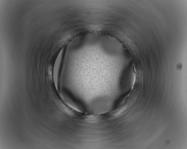 X0000098150238200805011415