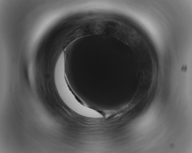 X0000098150239200805011415