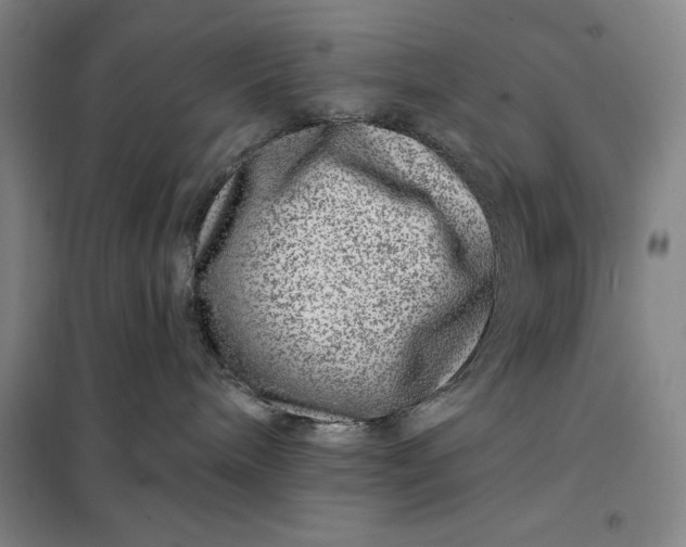 X0000098150240200805011415
