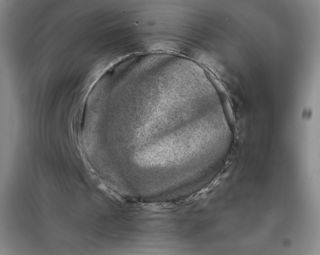 X0000098150241200805011414